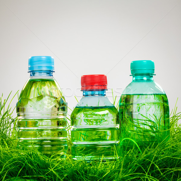 Water bottle on the grass Stock photo © cookelma