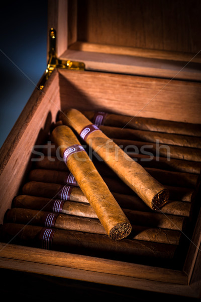 雪茄 關閉 打開 業務 框 禮物 商業照片 © cookelma