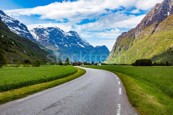 Road in Norway Stock photo © cookelma