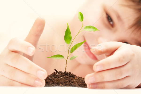 The boy observes cultivation of a young plant. Stock photo © cookelma