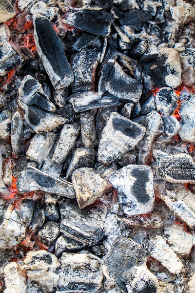 charcoal background Stock photo © cookelma