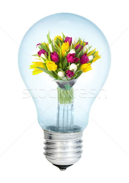 Electrobulb with a bunch of tulips Stock photo © cookelma