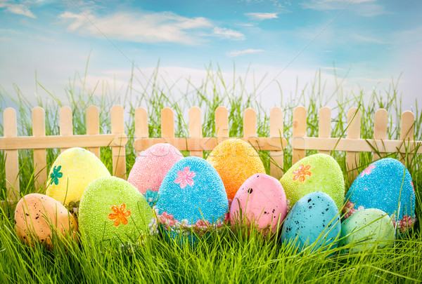 Odznaczony Easter Eggs trawy Błękitne niebo niebo kwiat Zdjęcia stock © cookelma