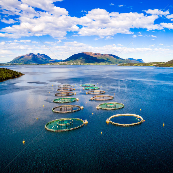 фермы лосося рыбалки антенна фотографии Норвегия Сток-фото © cookelma