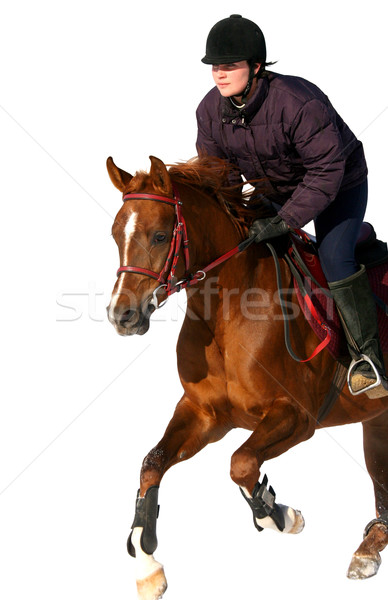 Lány lovas ló sportok sebesség mezőgazdaság Stock fotó © cookelma