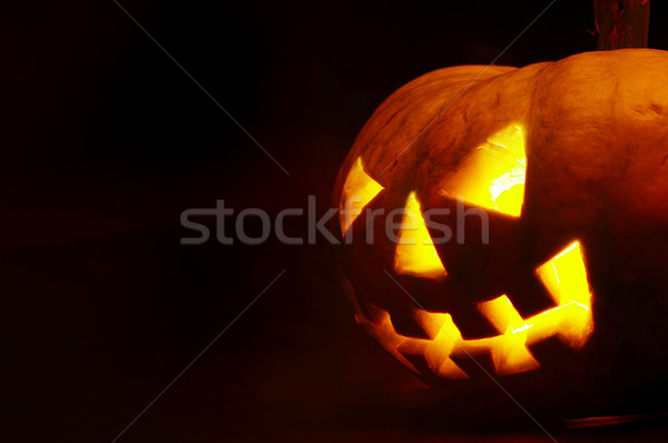 halloween Stock photo © cookelma