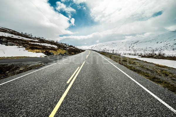 Road in Norway Stock photo © cookelma
