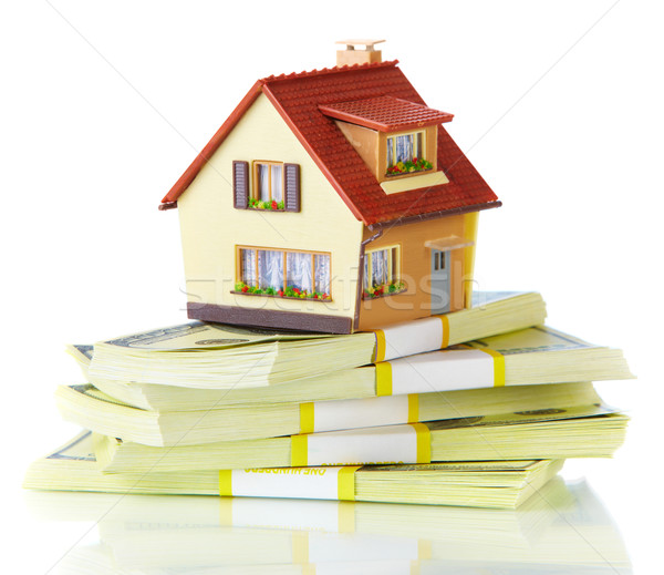 house on packs of banknotes Stock photo © cookelma