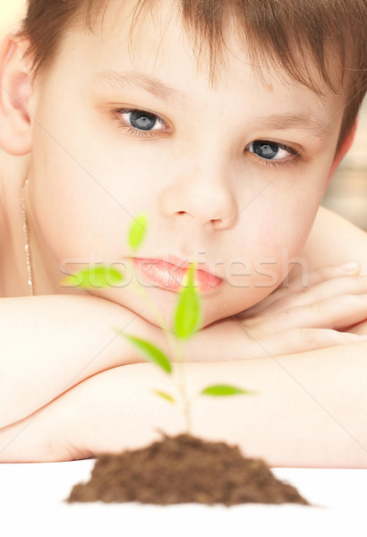 Imagine de stoc: Băiat · tineri · plantă · copac · copil · frunze