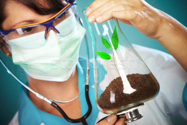 Scientist Checking Health Of A Life Stock photo © cookelma