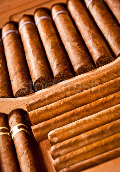 Cigars in humidor Stock photo © cookelma