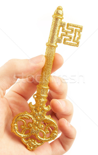 Złota kluczowych ręce osoby domu bezpieczeństwa Zdjęcia stock © cookelma