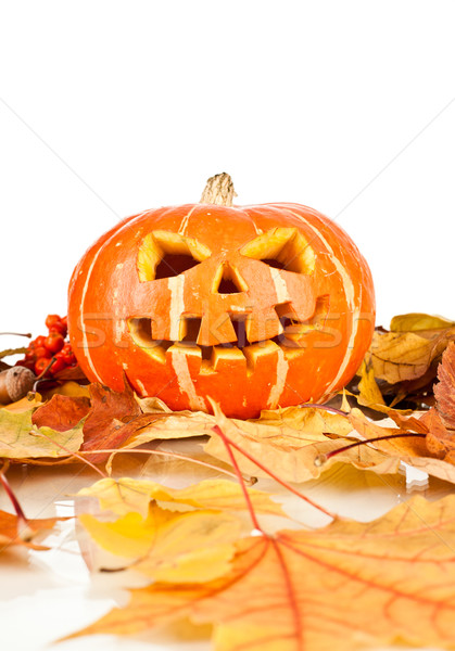 halloween, old jack-o-lantern on white Stock photo © cookelma