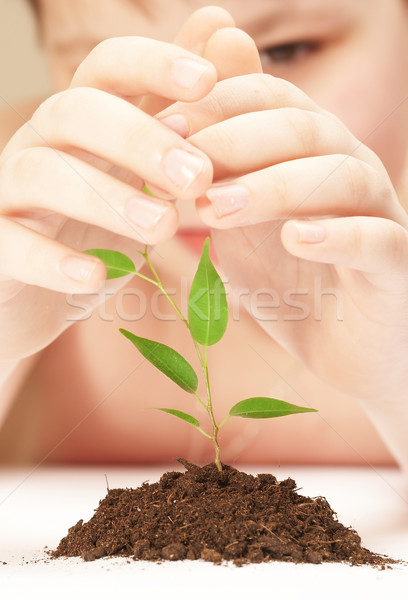 商業照片: 男孩 · 年輕 · 植物 · 樹 · 葉 · 花園
