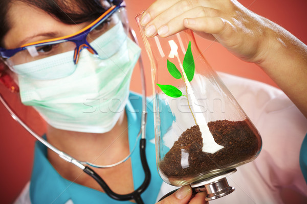 Zdjęcia stock: Naukowiec · zdrowia · życia · lekarza · drzewo · kobiet