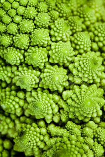 background - broccolo romanesco (Brassica oleracea) Stock photo © cookelma