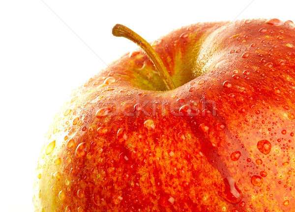 Fresh apple with drops of water. Stock photo © cookelma