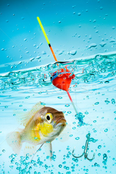 Fischerei Schwimmkörper Wasser Fisch Business Himmel Stock foto © cookelma