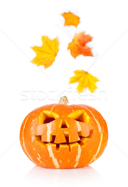 Halloween starych odizolowany biały świetle pomarańczowy Zdjęcia stock © cookelma