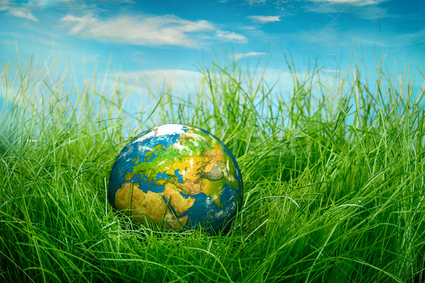 Dia da terra globo mentiras grama verde primavera projeto Foto stock © cookelma