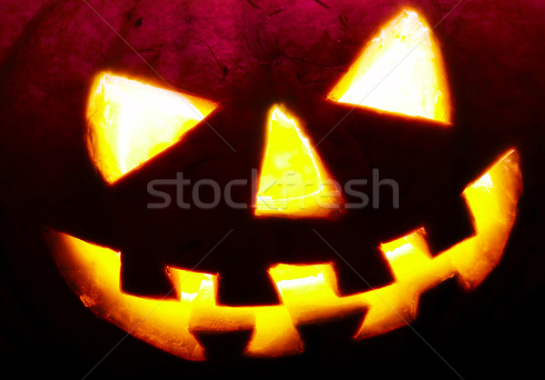 halloween Stock photo © cookelma