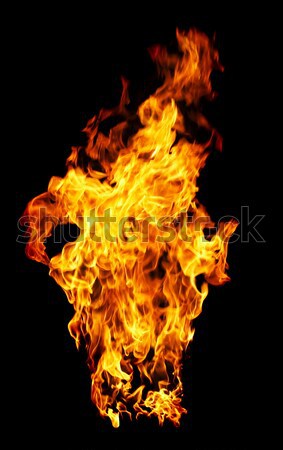 Ognia odizolowany czarny tle czerwony kolor Zdjęcia stock © cookelma