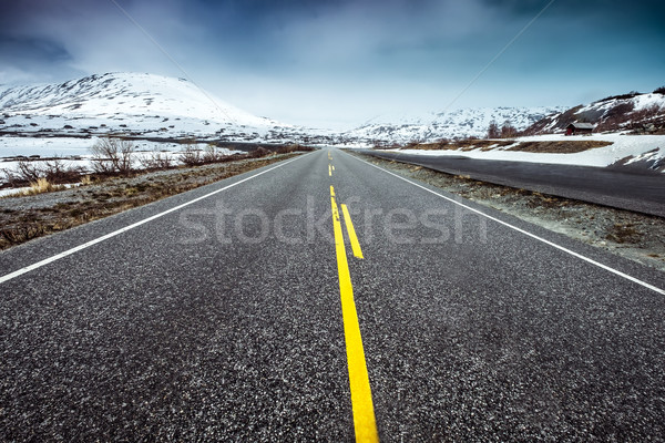 Road in Norway Stock photo © cookelma