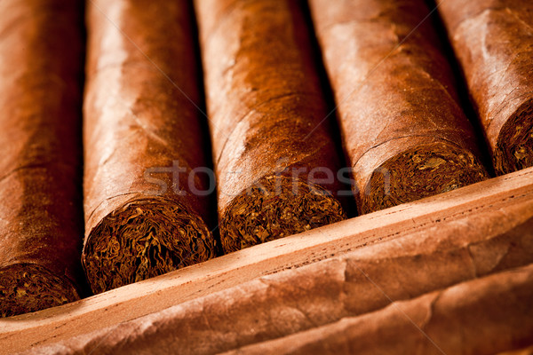 Zigarren Hintergrund Geschenk Stil Kultur Luxus Stock foto © cookelma