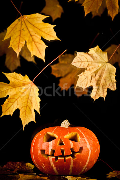 halloween, old jack-o-lantern on black Stock photo © cookelma