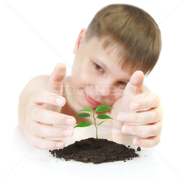 Stock photo: Young plant -- CONTEST