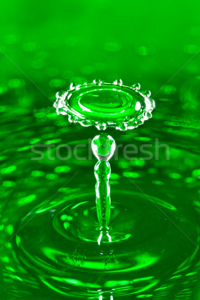 Waterdruppel naar beneden natuur licht groene drinken Stockfoto © cookelma