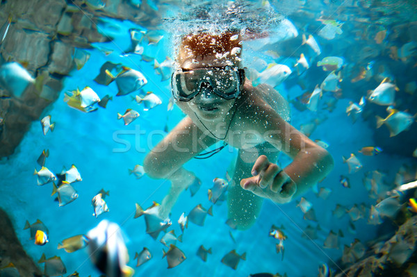 freedive Stock photo © cookelma