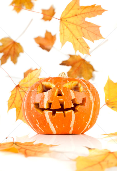 halloween, old jack-o-lantern on white Stock photo © cookelma