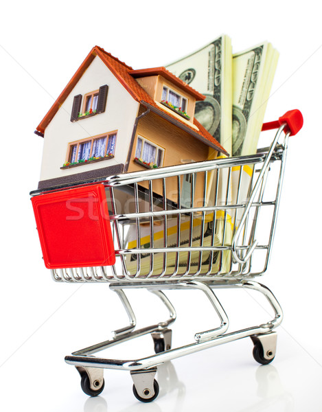 Winkelwagen huis witte business geld bouw Stockfoto © cookelma