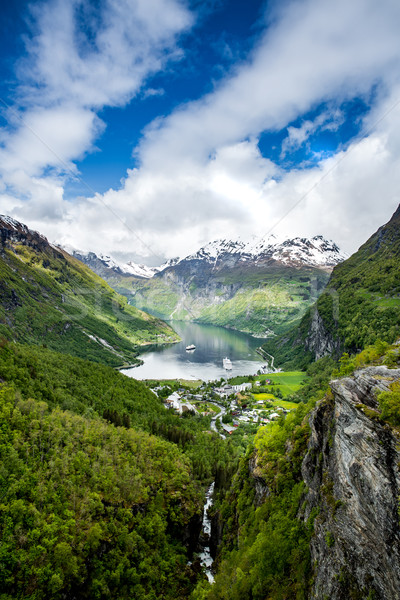 Norwegen schönen Natur lange Zweig aus Stock foto © cookelma