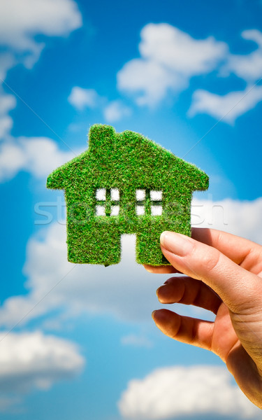 трава домой Blue Sky человека рук дома Сток-фото © cookelma