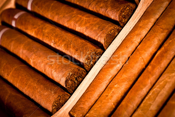 Zigarren Hintergrund Geschenk Stil Kultur Luxus Stock foto © cookelma