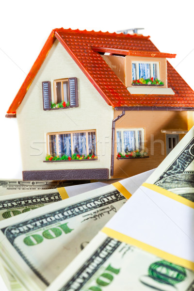 house on packs of banknotes Stock photo © cookelma