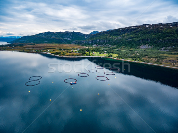 Сток-фото: фермы · лосося · рыбалки · Норвегия · антенна · фотографии