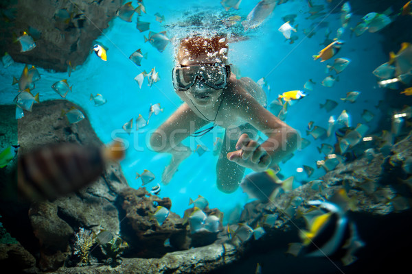 freedive Stock photo © cookelma