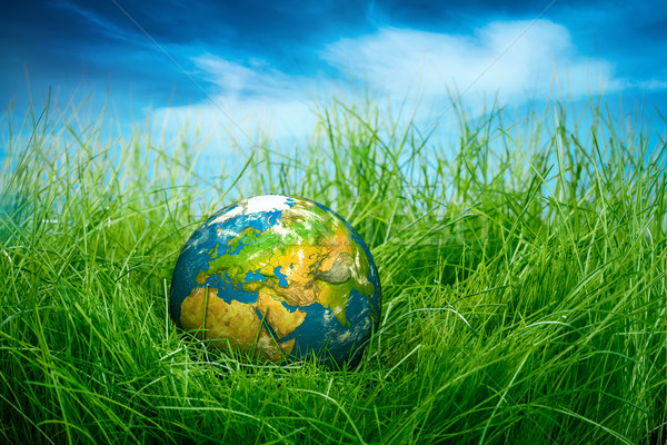 Dzień ziemi świecie leży zielona trawa wiosną projektu Zdjęcia stock © cookelma