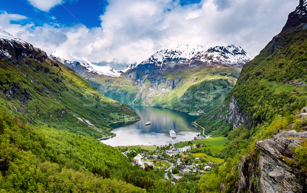 Stock foto: Norwegen · schönen · Natur · lange · Zweig · aus