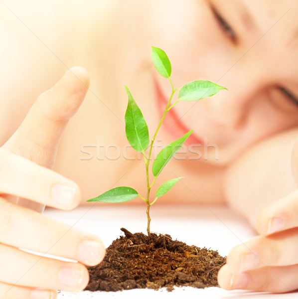 boy looks at a young plant Stock photo © cookelma