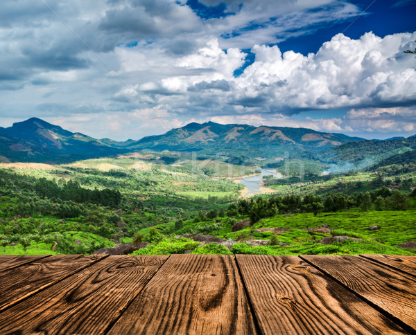 ストックフォト: 茶 · インド · 風景 · 春 · 木材 · 森林