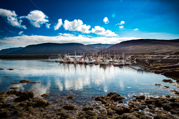 Molo połowów Norwegia na północ wody Zdjęcia stock © cookelma