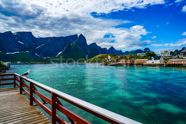 Lofoten archipelago islands Norway Stock photo © cookelma