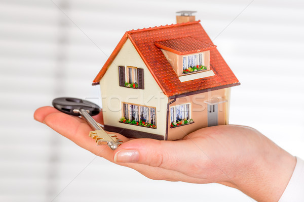House in human hands Stock photo © cookelma