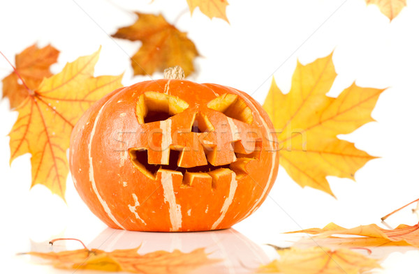 halloween, old jack-o-lantern on white Stock photo © cookelma