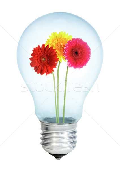 Electrobulb with a bunch of gerberas Stock photo © cookelma
