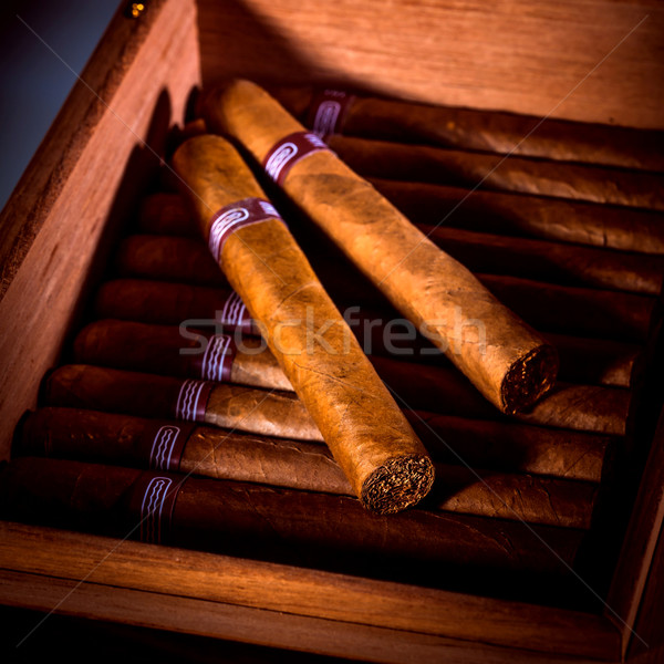 Cigars in humidor Stock photo © cookelma